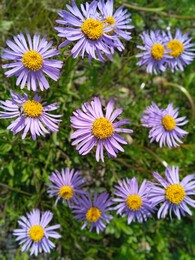 ����� ����������