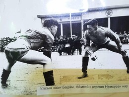 ������. ������������ �����