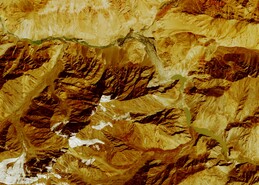 Sentinel, 2025-08-31