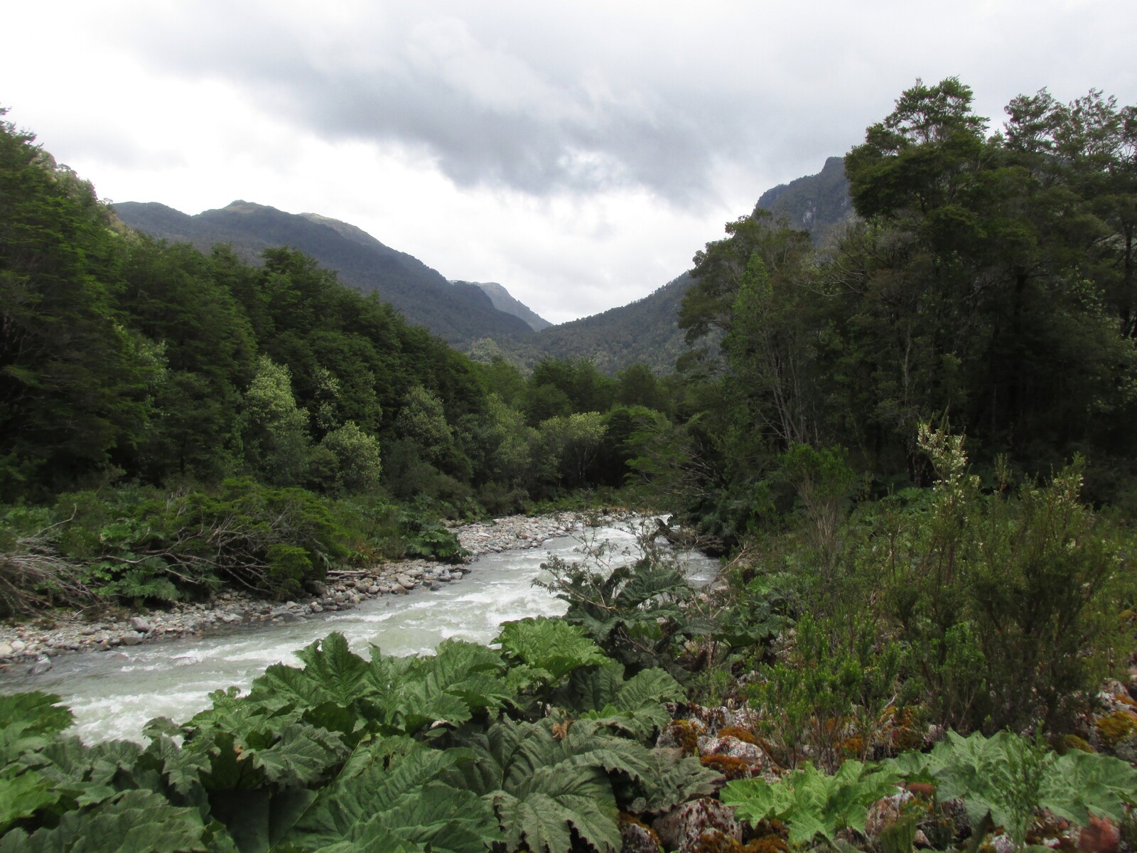  Estero Piedras,      Queulat,    