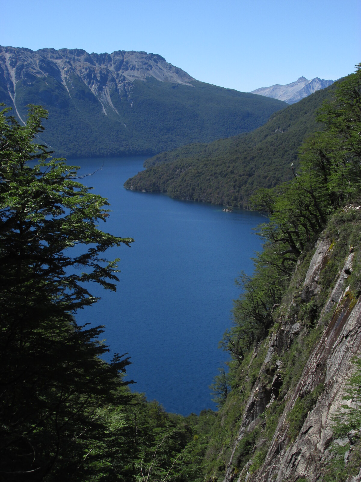    Palena   
