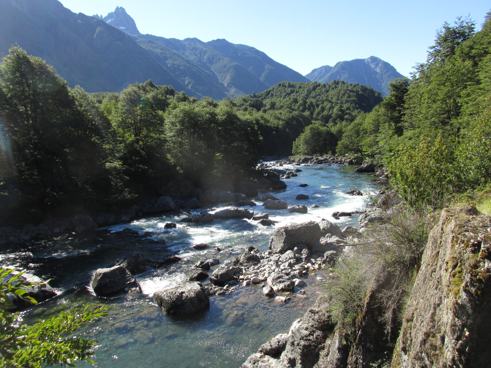  Tigre    Azul