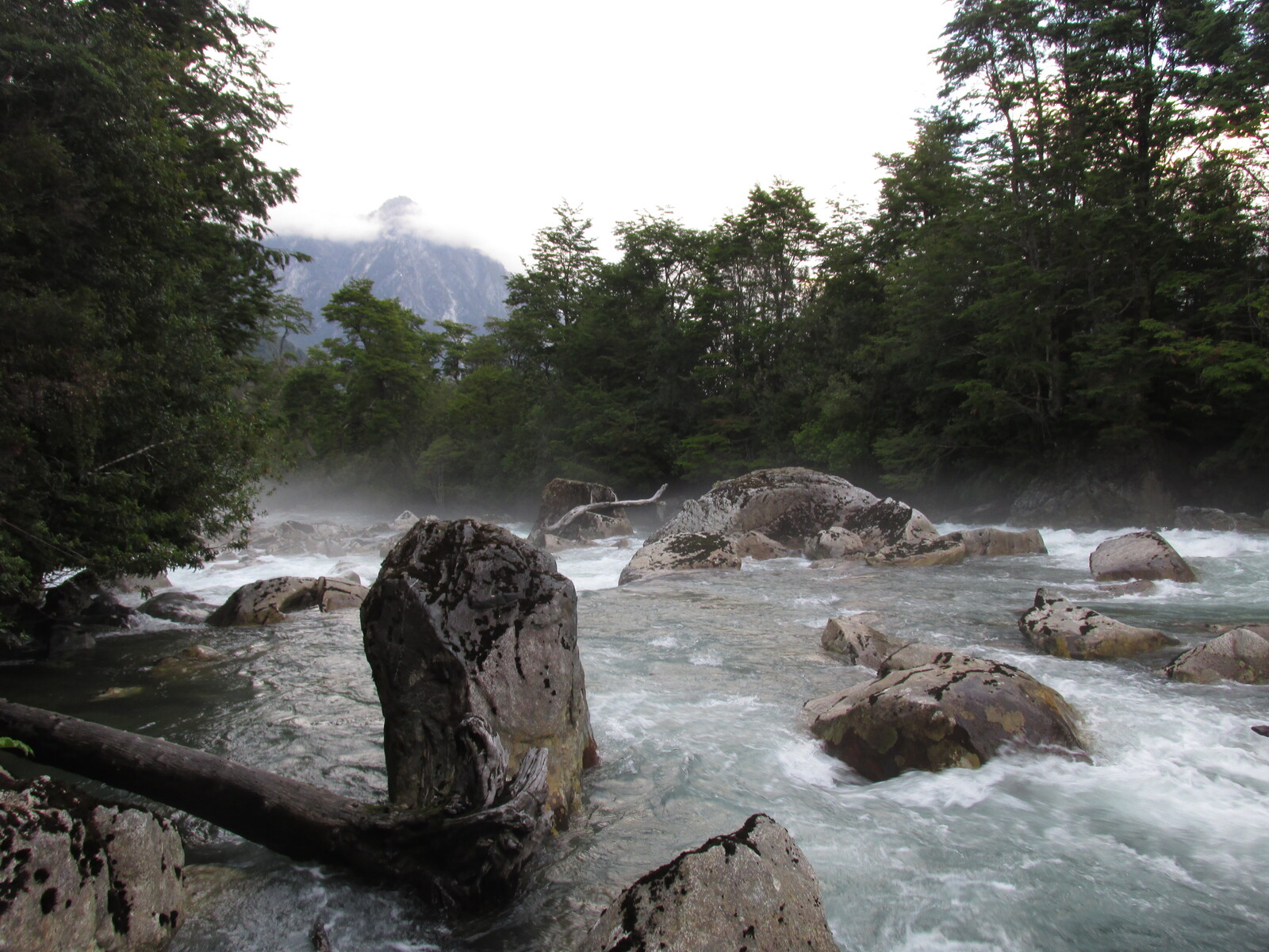   Rio Correntoso   