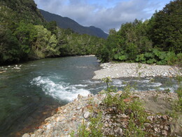  Estero Piedras  Queulat