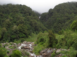        Estero Piedras