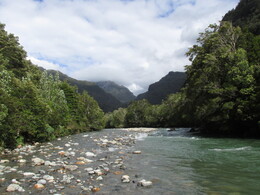     Queulat