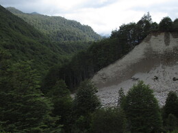  Estero San Lorenzo