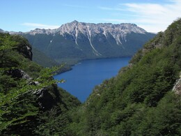    Palena    