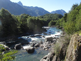  Tigre    Azul