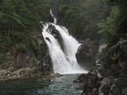    Estero Cascado