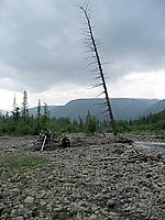 10.    