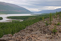 61.       