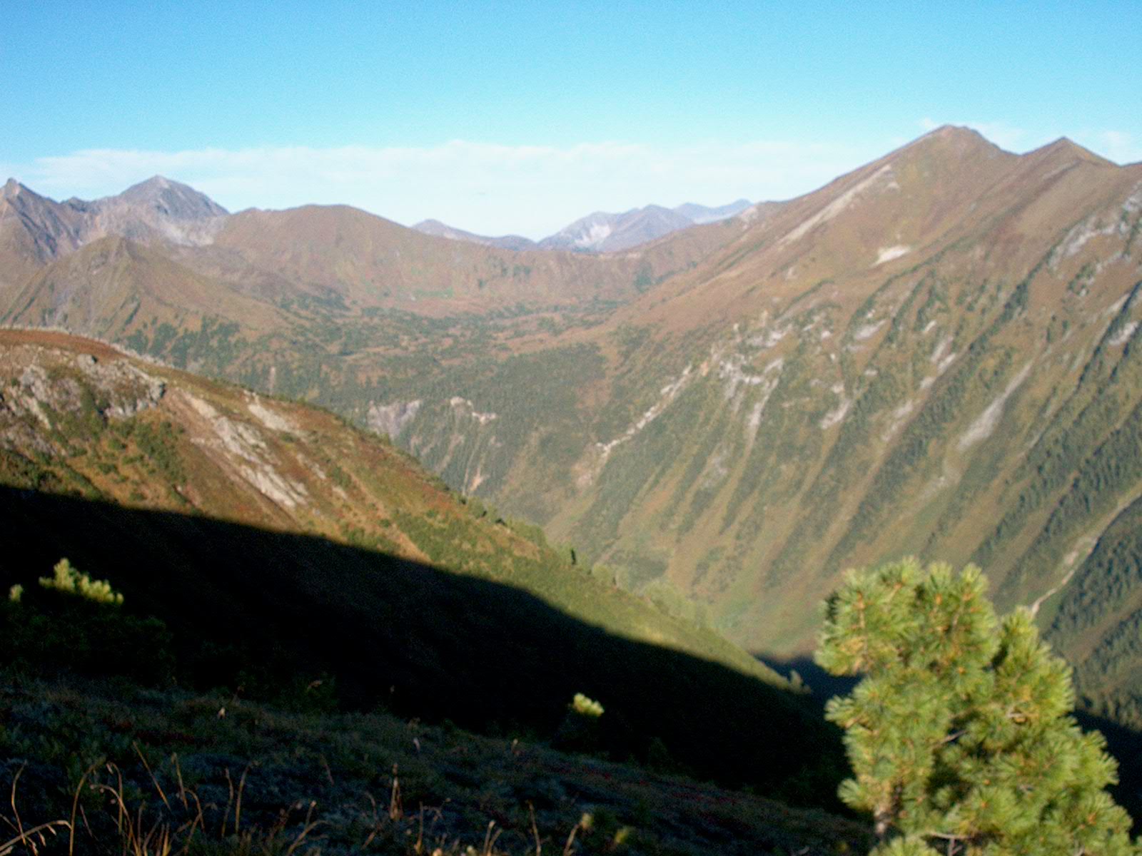      1- 