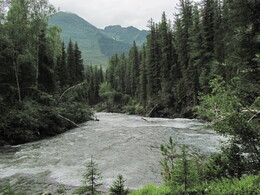       2- 