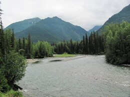    1- 
