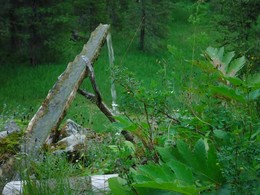  ֣,     