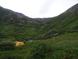    4-   