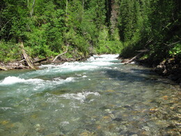 1- 