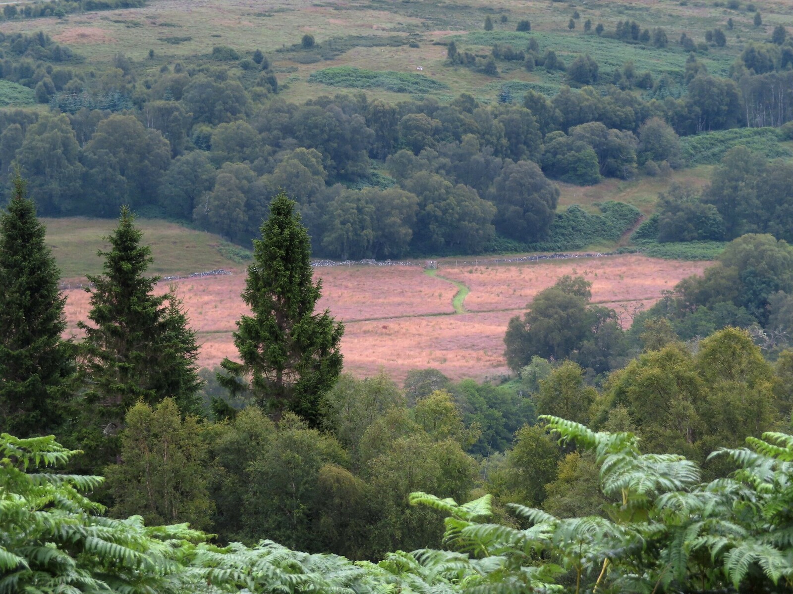   Loch Treig -   ,     