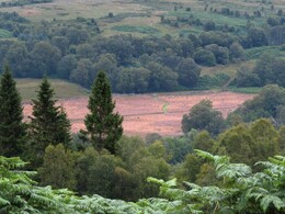   Loch Treig -   ,     