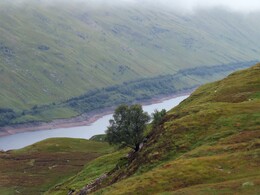    Loch Treig
