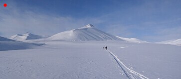     Venbreen