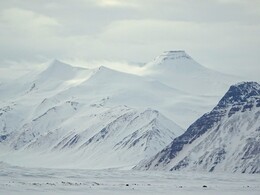  Gråpiggen
