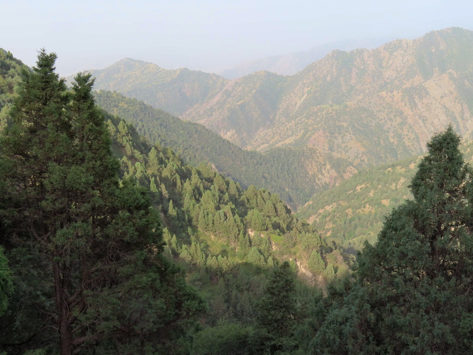    The wild section of the path