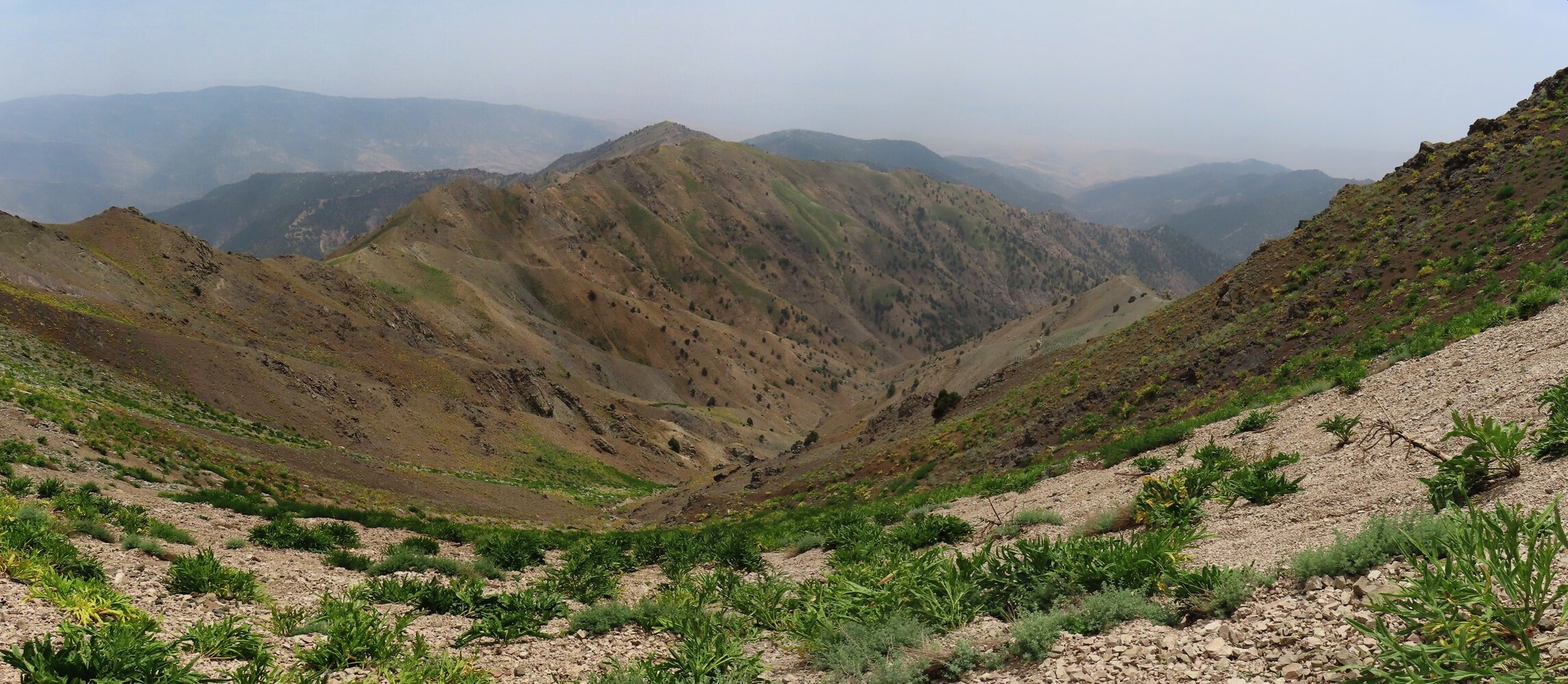    view back from the pass