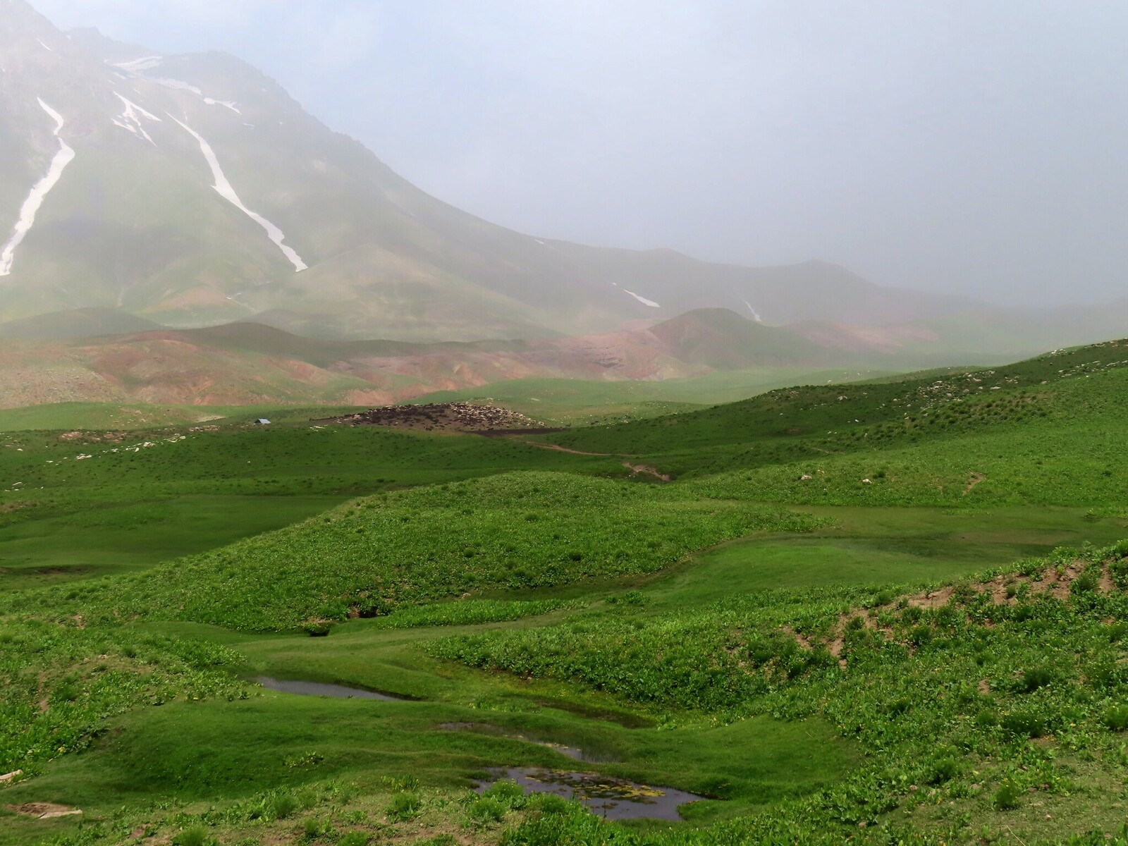     herd in Yakhob valley