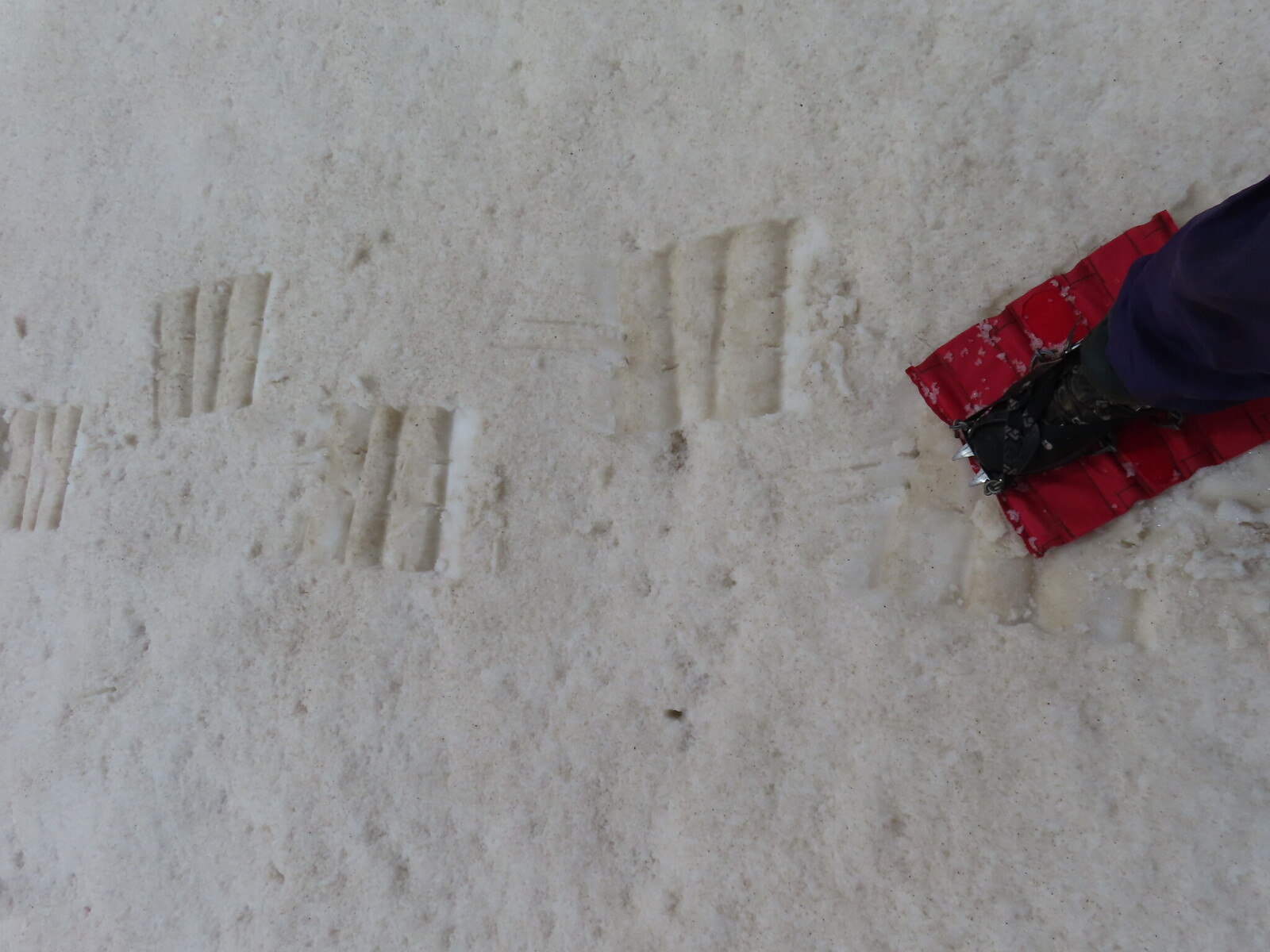 snowshoes