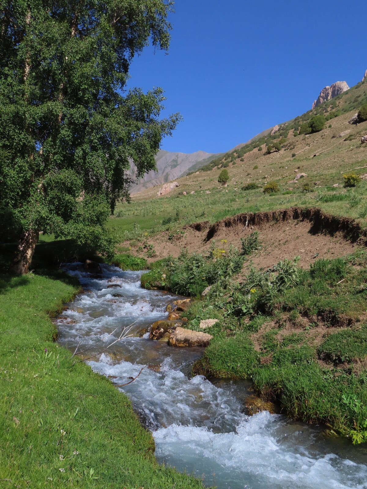 . Khojakishvar river