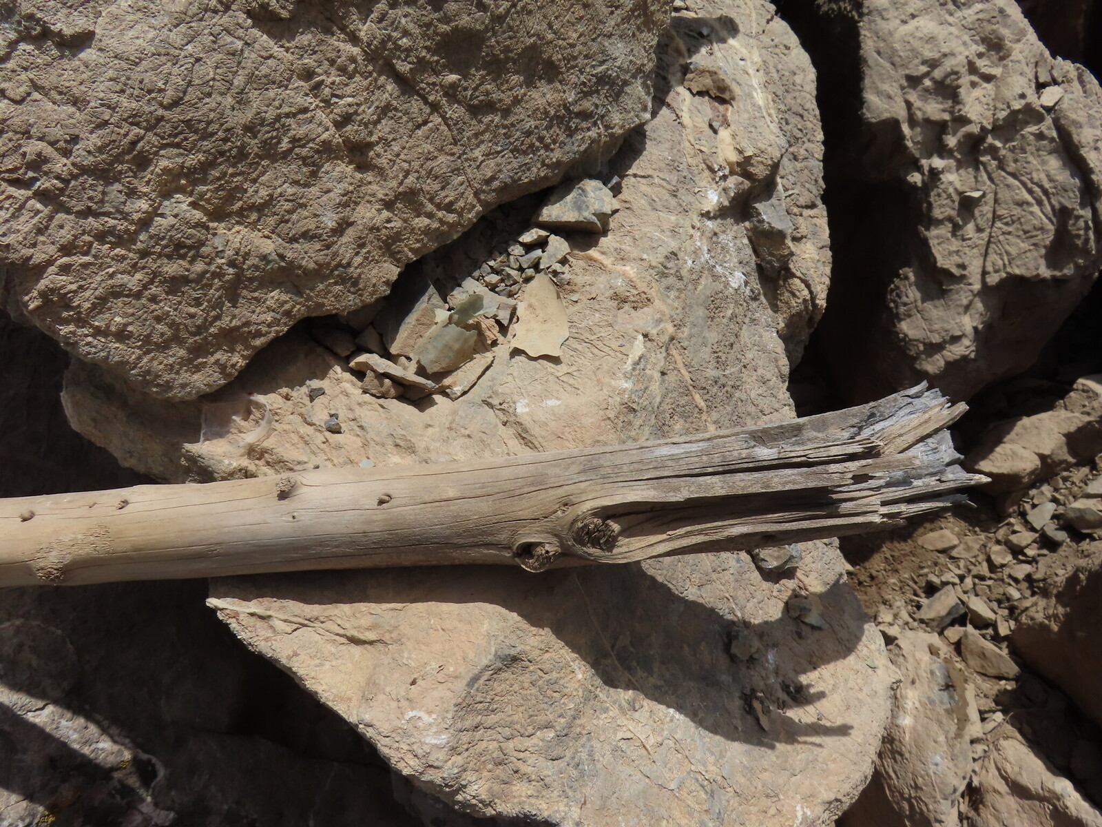 ,        -2 everything that I have found in the cairn on Poltava-2 pass