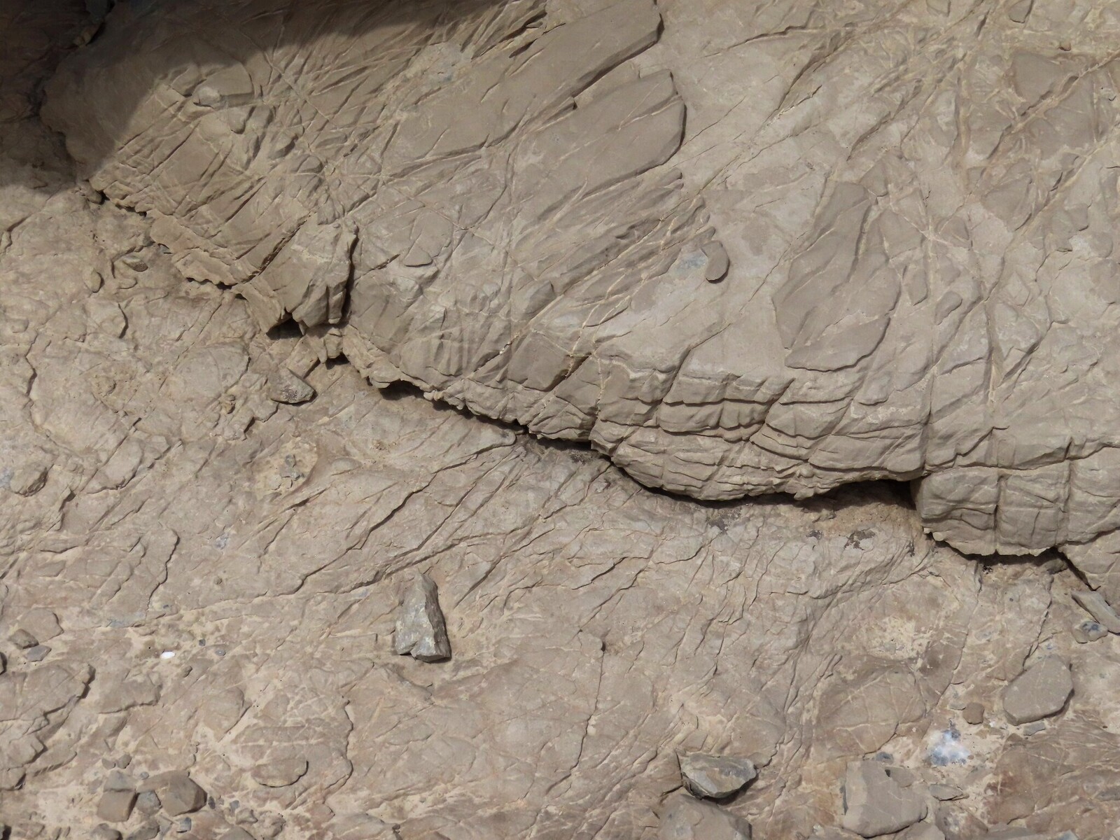     typical rocks in this area