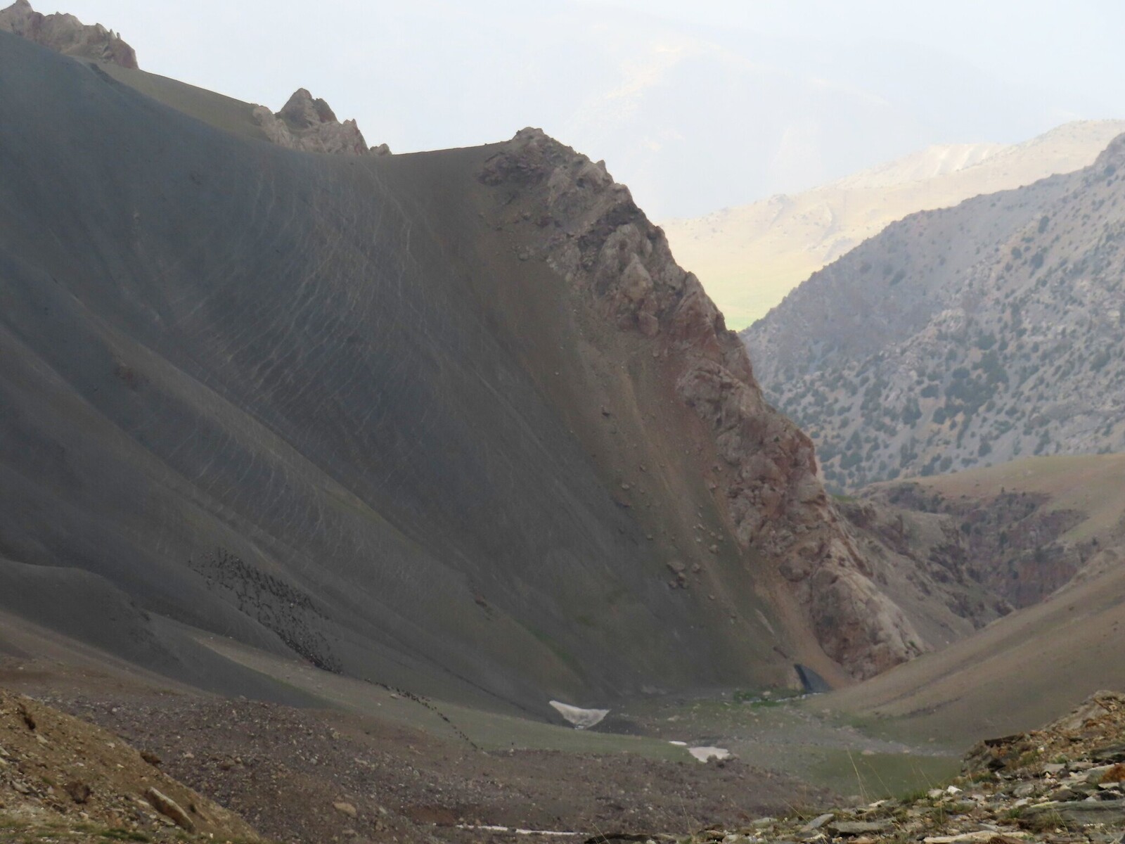     the herd ascending the ridge