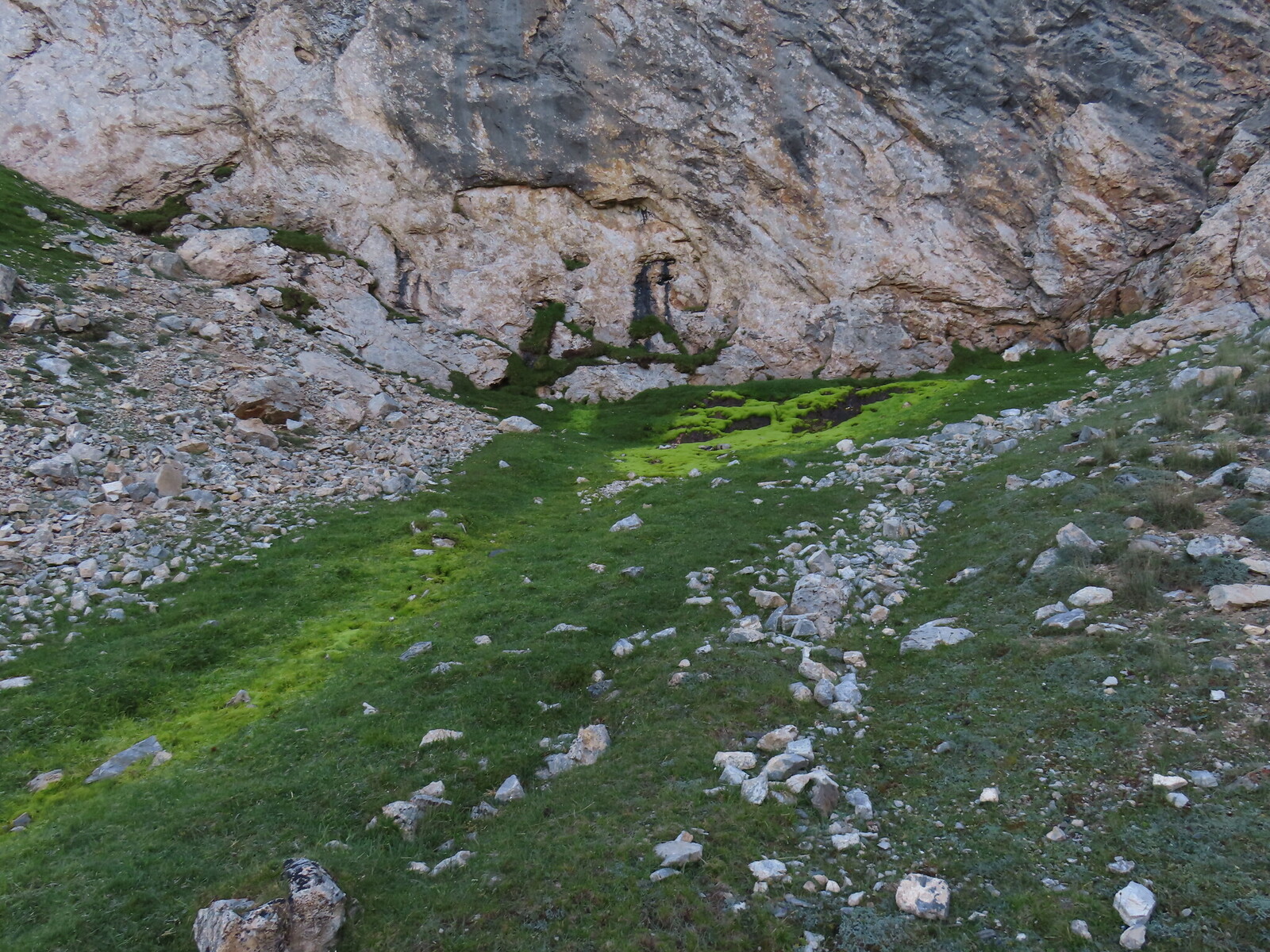    spring under a rock