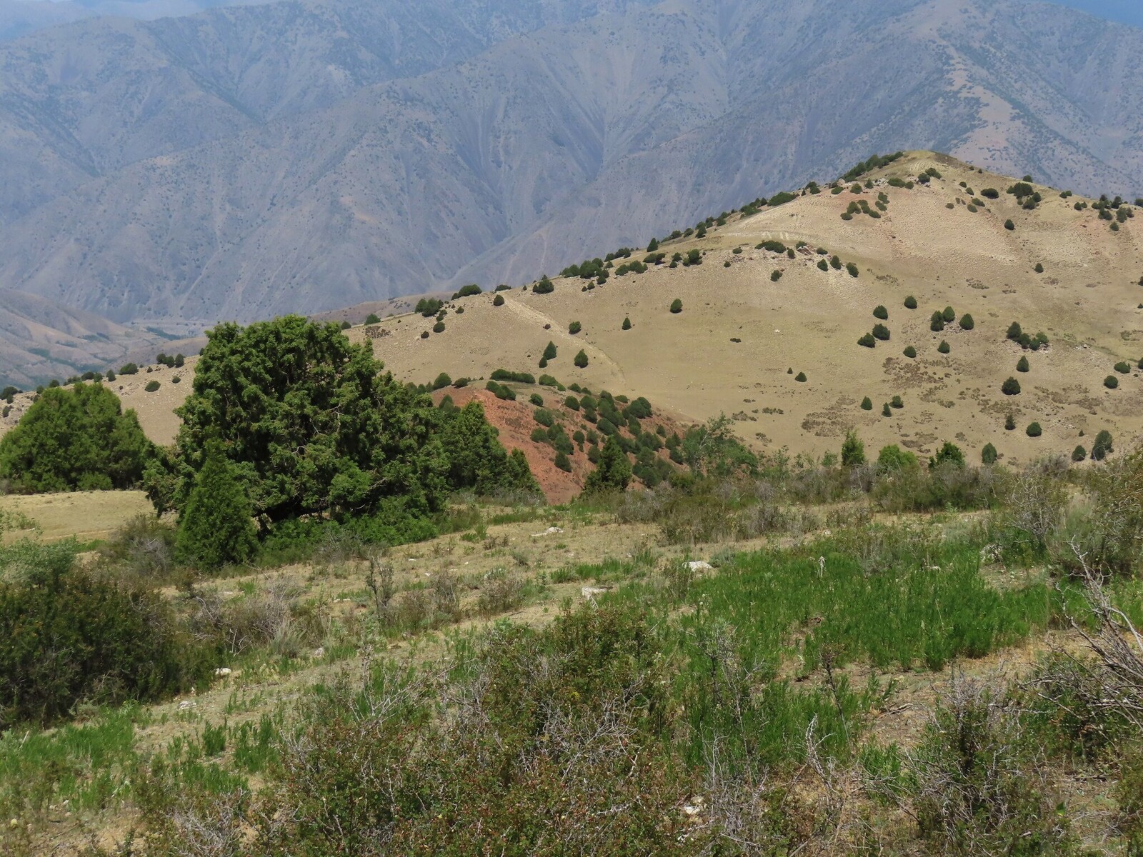   (  ) Chukalik pass (behind a red hill)