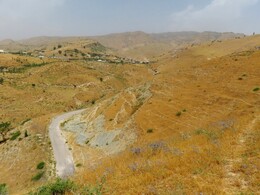    leaving the road