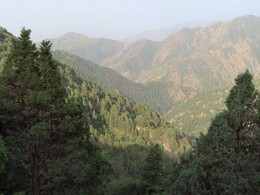    The wild section of the path