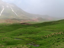     herd in Yakhob valley