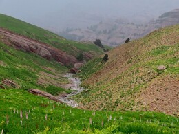     beginning canyons on the river