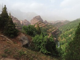     view up the river
