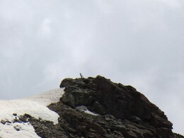    Trig at the top