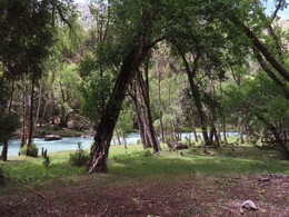    the river above the bridge