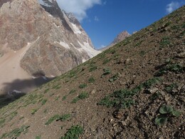   a typical slope