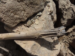 ,        -2 everything that I have found in the cairn on Poltava-2 pass