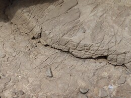     typical rocks in this area
