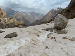    the recently rolled stone