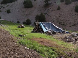   the shepherd tent