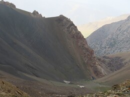     the herd ascending the ridge